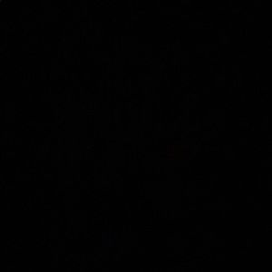 Meet your Posher, Sofie